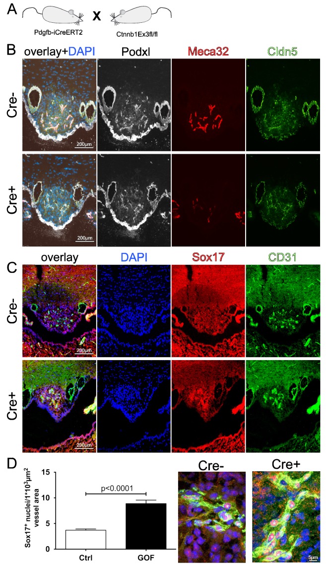 Figure 4—figure supplement 3.