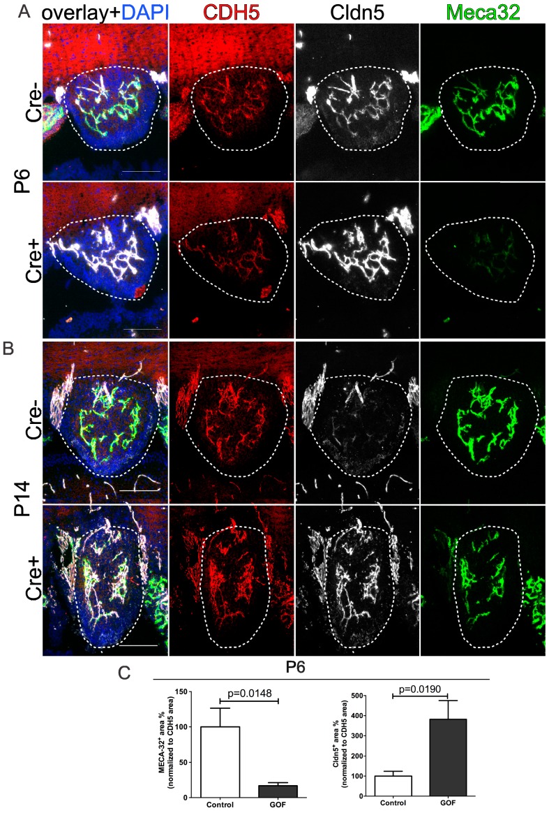 Figure 4—figure supplement 1.