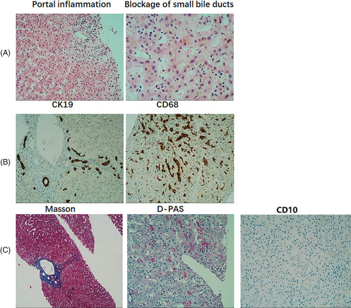 FIGURE 2