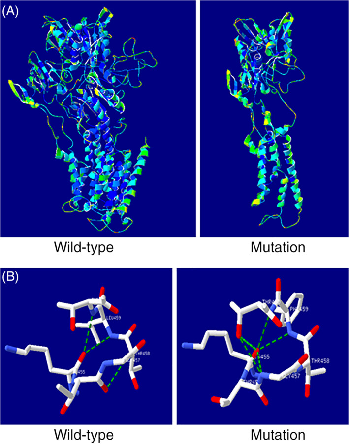 FIGURE 4