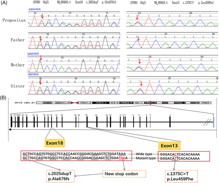 FIGURE 3