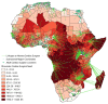 Choropleth map of cardiac surgical need due to RHD across the subnational regions of Africa with linkages to the nearest cardiac surgeon