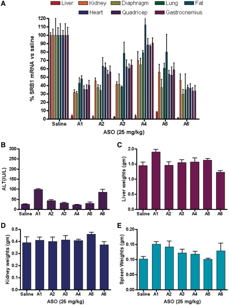 Figure 3.