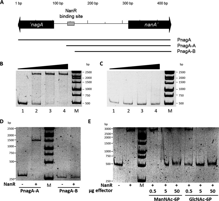 FIG 5