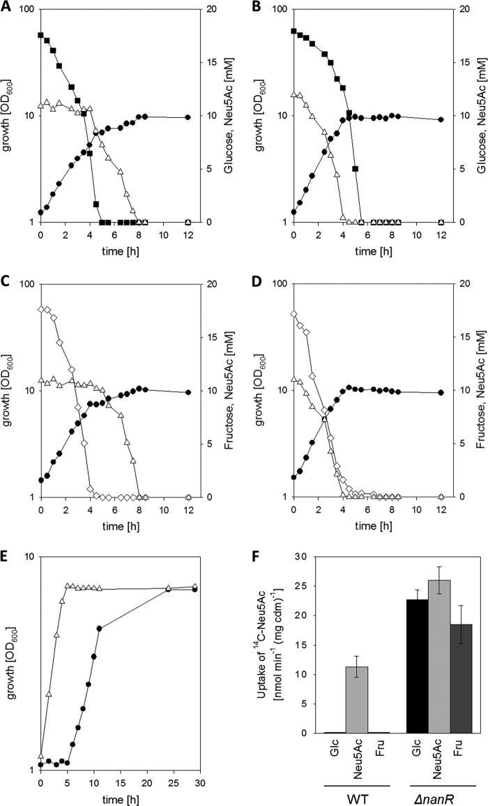 FIG 2