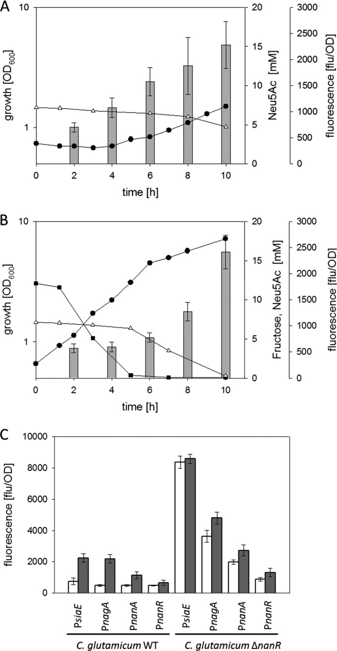 FIG 7