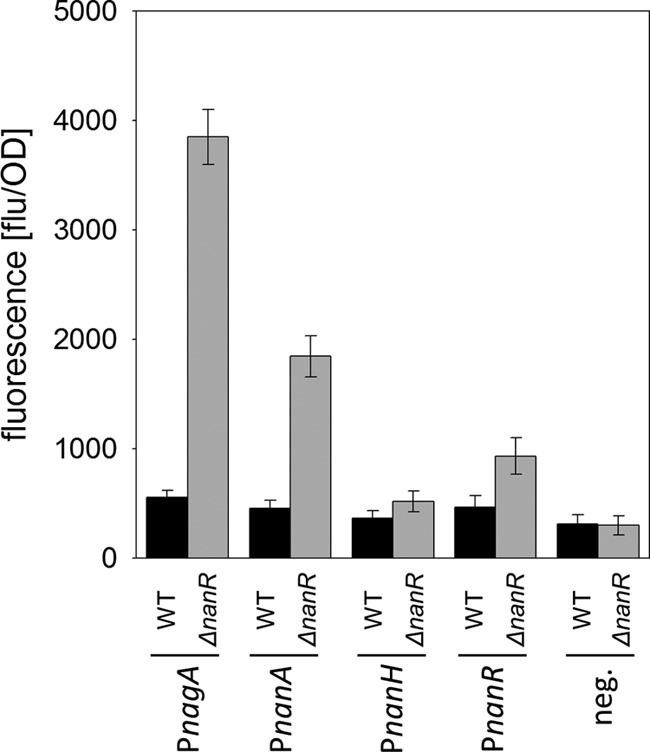 FIG 4