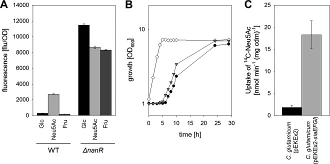 FIG 3