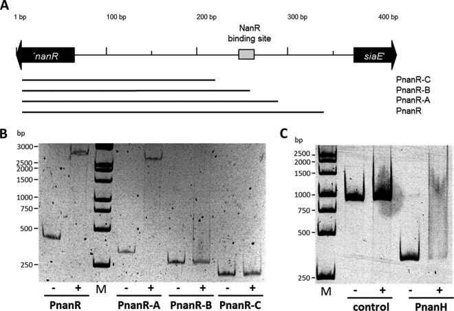 FIG 6