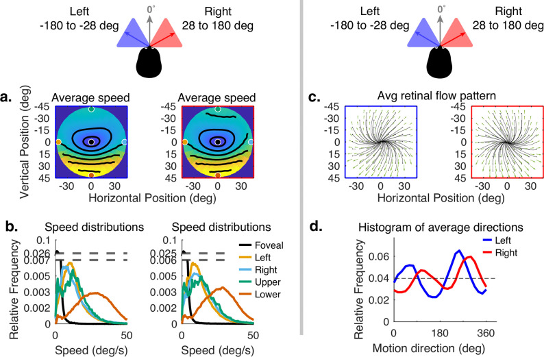 graphic file with name elife-91492-fig6.jpg