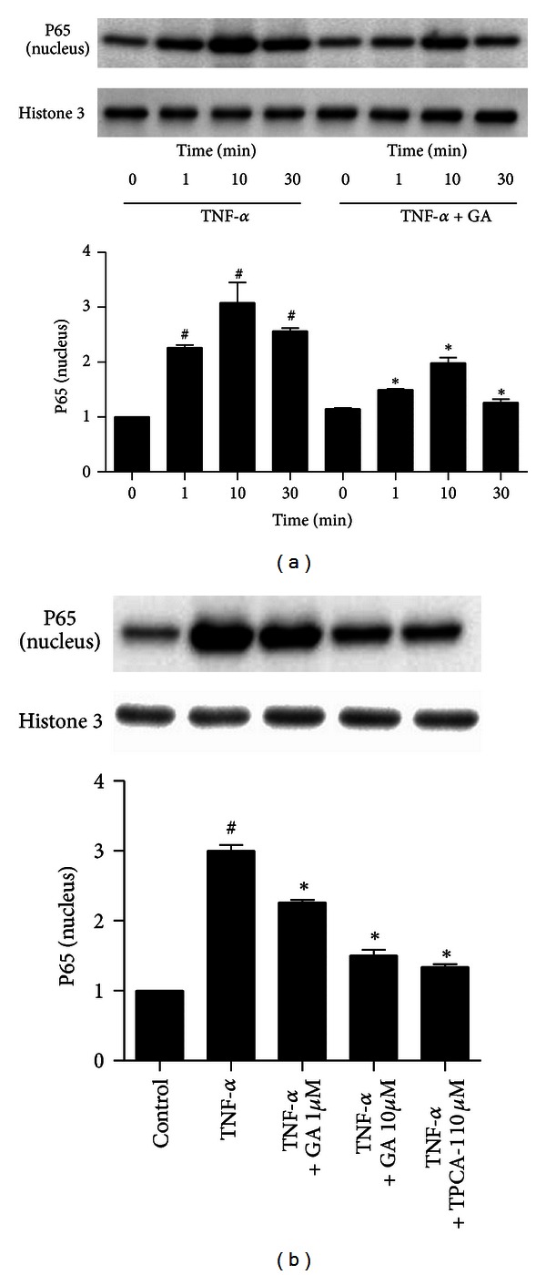 Figure 9