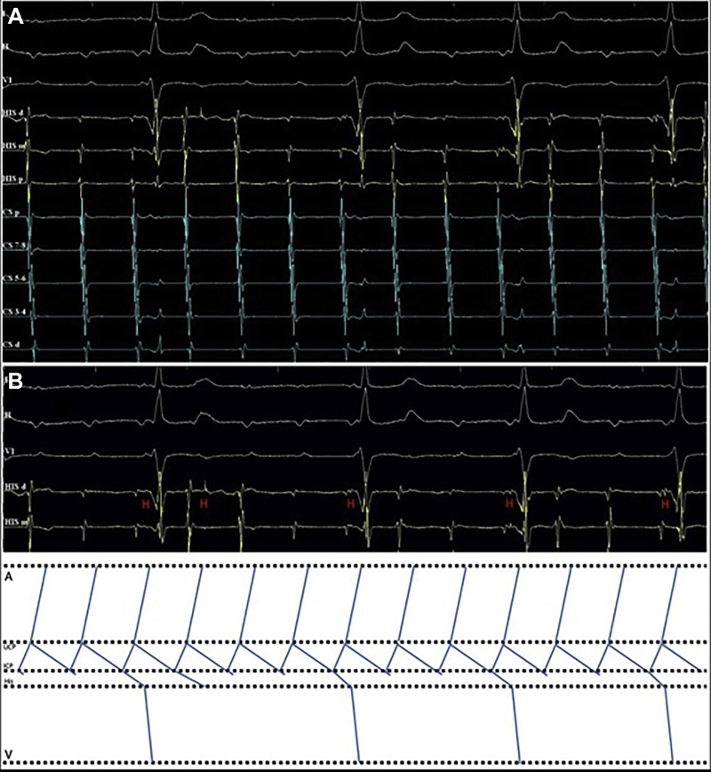 Figure 2