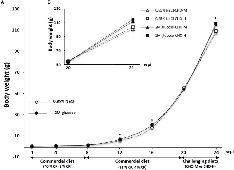 FIGURE 3