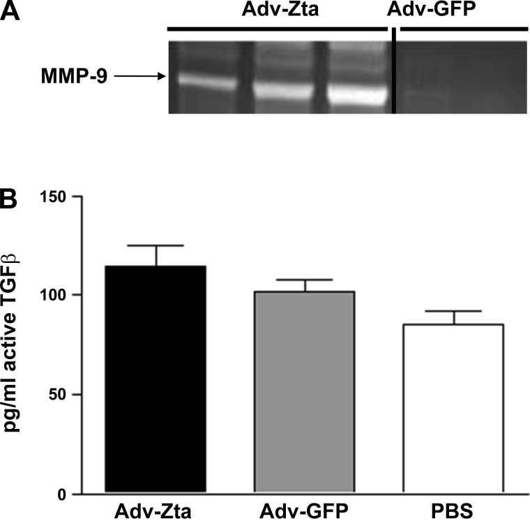 Fig. 8.