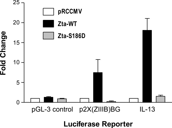 Fig. 7.