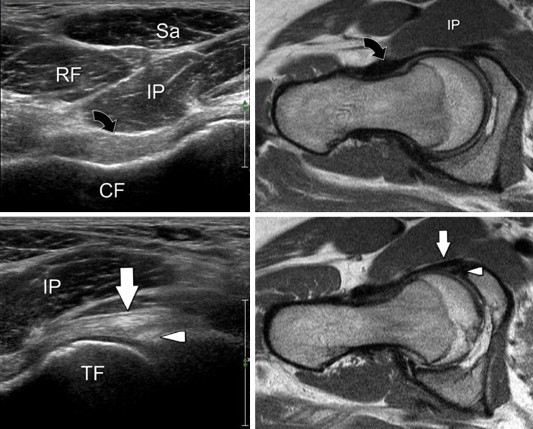 Fig. 4