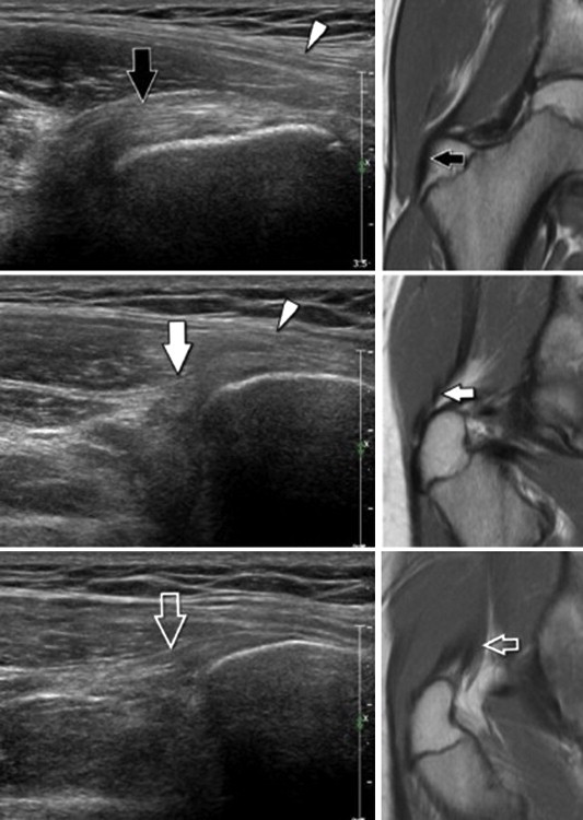 Fig. 7