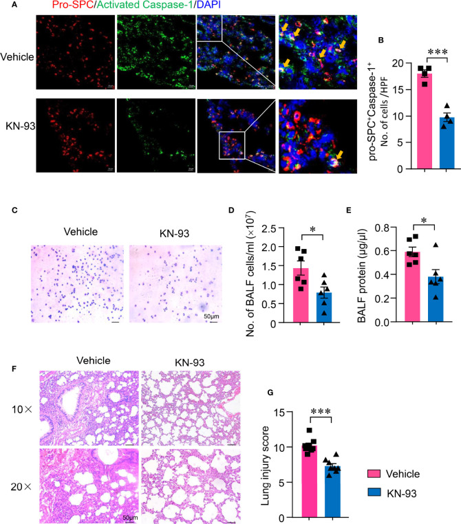 Figure 6