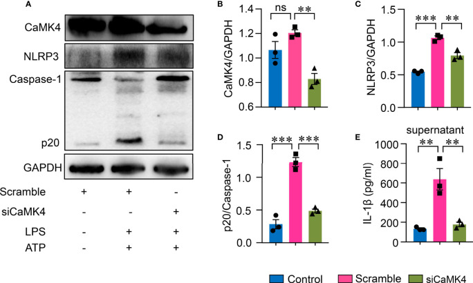 Figure 5