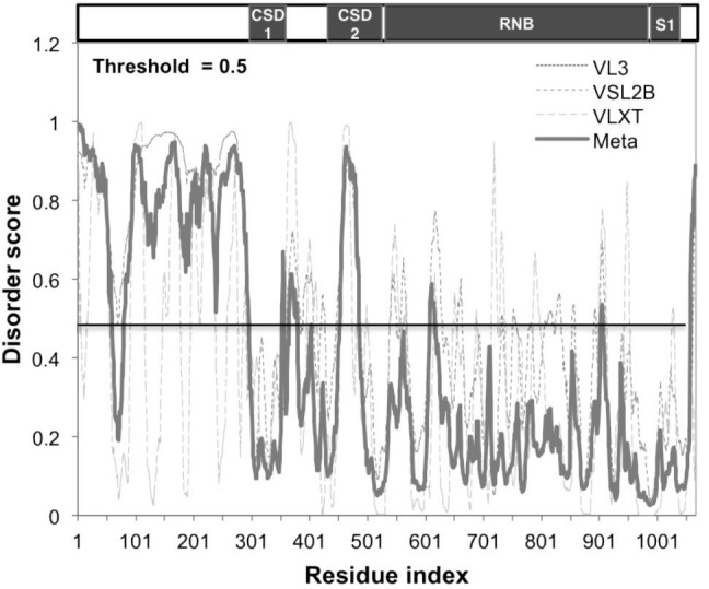 Figure 2—figure supplement 1.