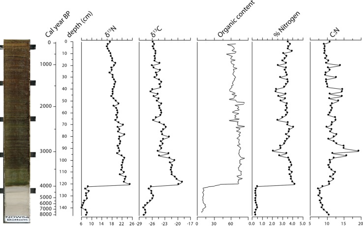 Fig. 5