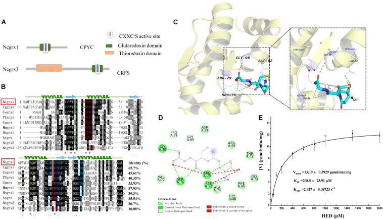 FIGURE 1