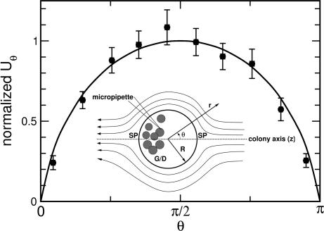 Fig. 3.