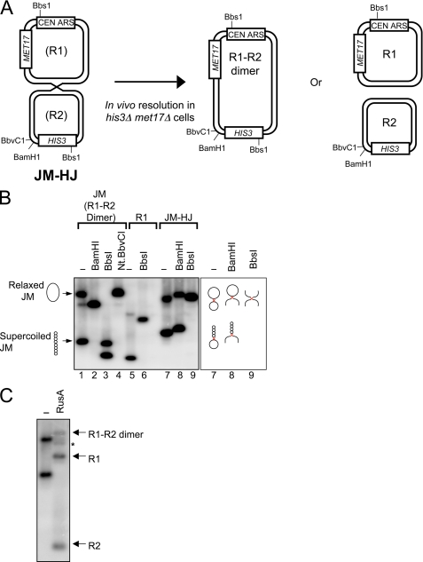 FIGURE 1.