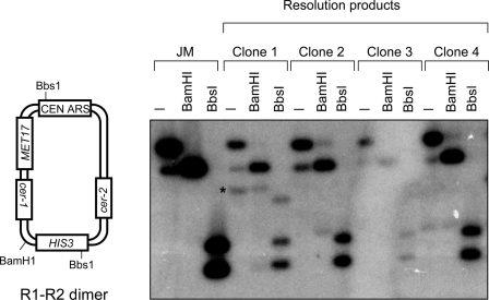 FIGURE 2.