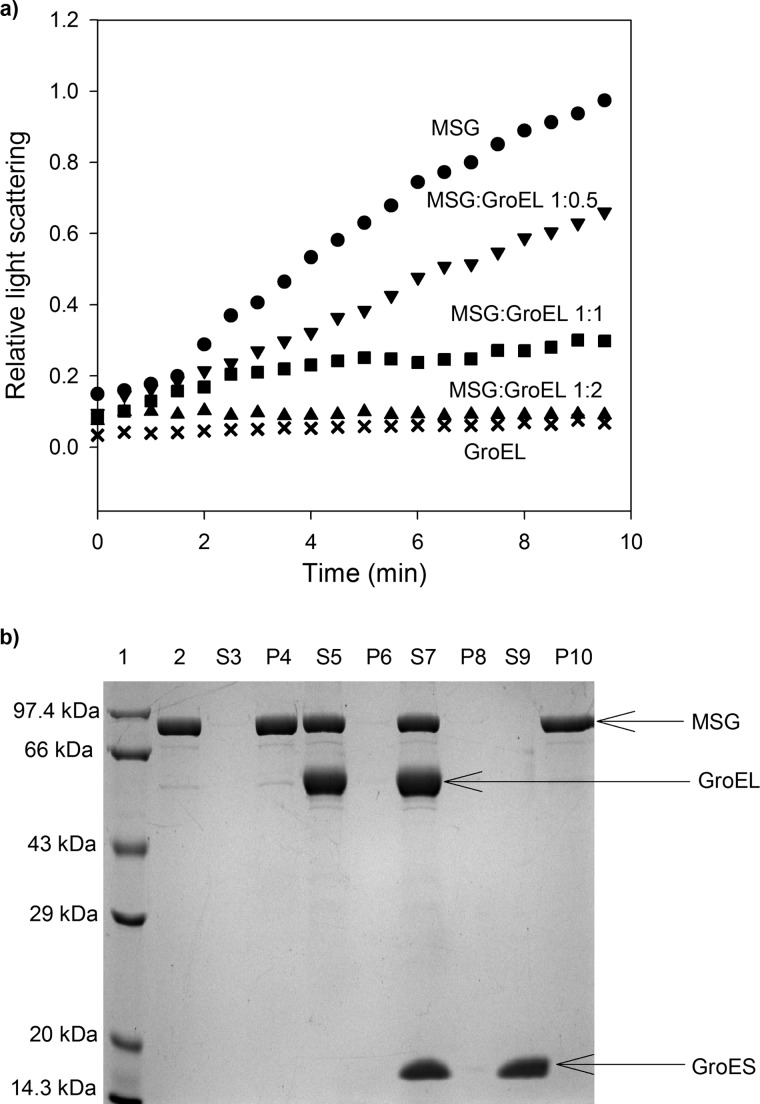 FIGURE 1.