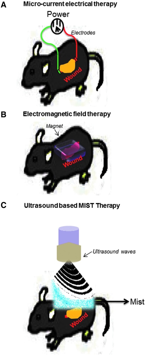 Figure 3.