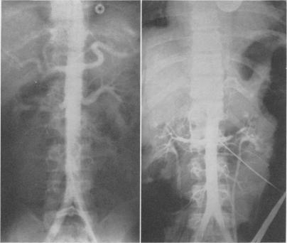 Fig. 7 (left)., Fig. 8 (right).