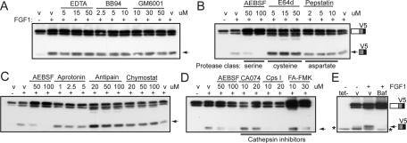 FIGURE 4: