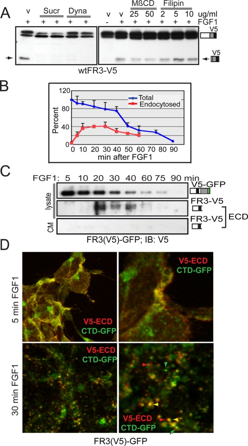 FIGURE 3: