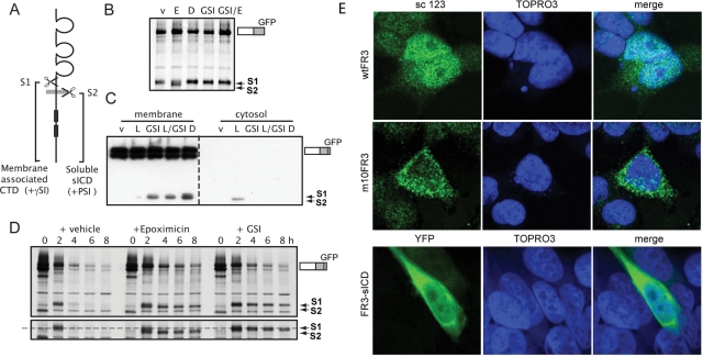 FIGURE 6: