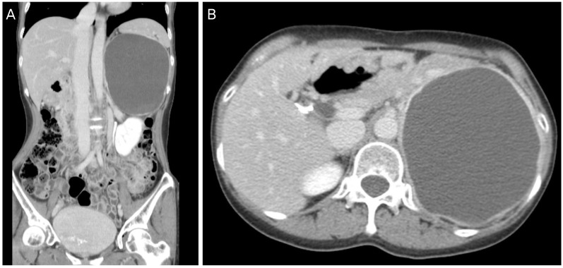 Fig. 1