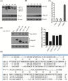 FIG 6