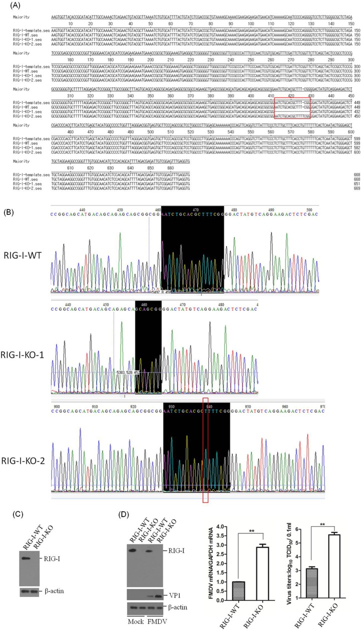 FIG 3