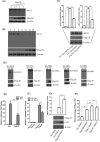 FIG 5