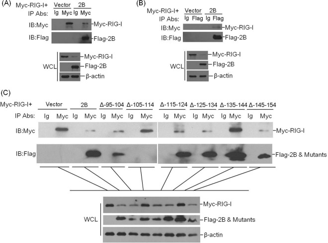 FIG 8