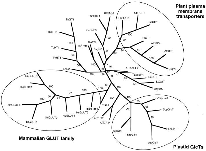 Figure 5.