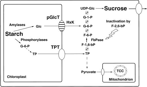 Figure 9.