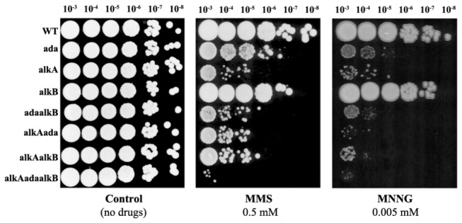 Figure 5