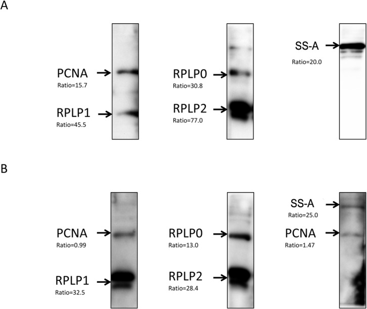 Fig 5