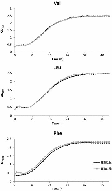 Fig. 1