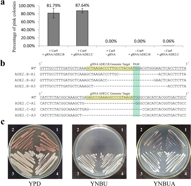 Figure 2