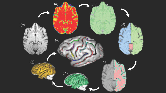 Figure 1.