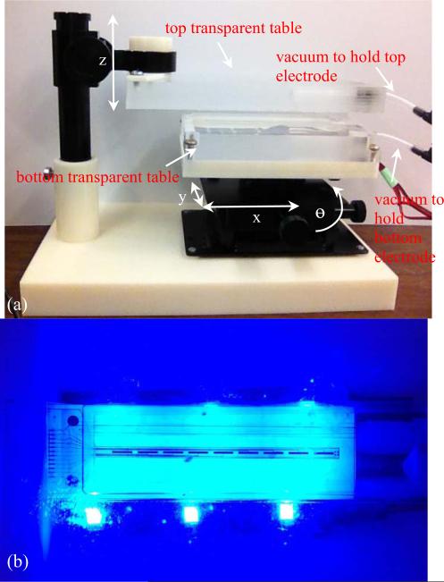 Fig. 12