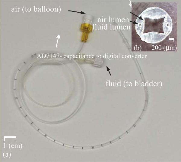 Fig. 14