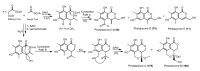 Figure 34